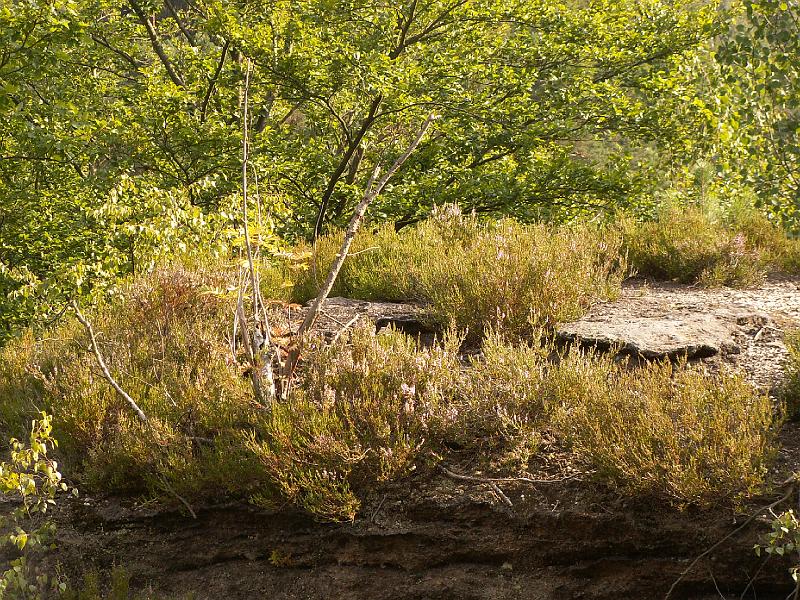 pict1877.jpg - Nad kempem