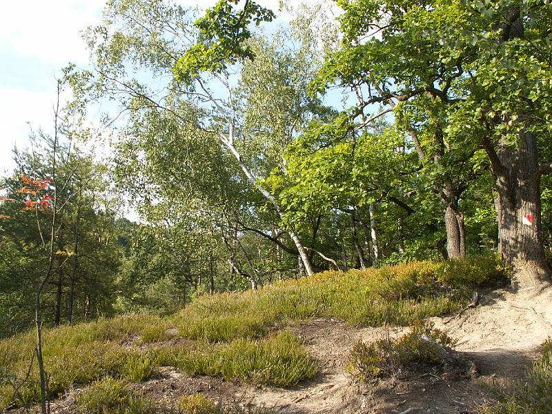 pict1882.jpg - Nad kempem