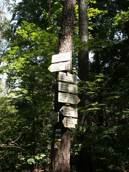 pict1914.jpg - Cinibulkova stezka - Rozcestí