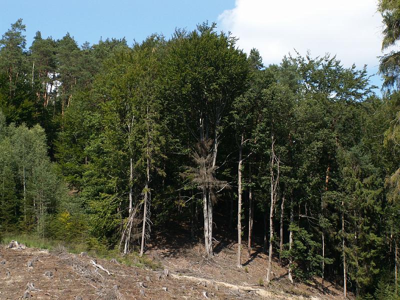 pict1978.jpg - cestou k Tisícáku