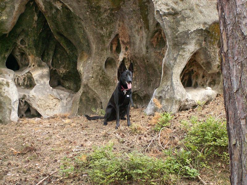 pict2002.jpg - Nelyna