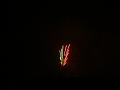 PICT2233